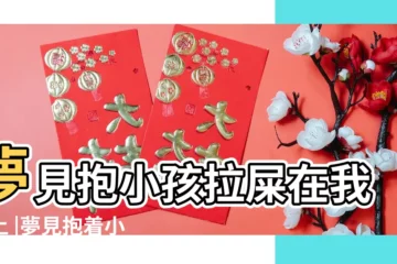 【做夢夢到抱孩子拉屎到自己身上】夢見抱小孩拉屎在我身上 |夢見抱着小男孩拉屎 |夢見小孩子拉屎在我身上是什麼意思 |