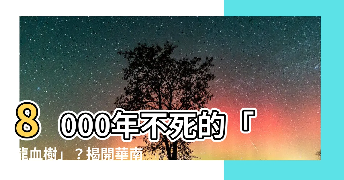 【龍血樹壽命】8000年不死的「龍血樹」？揭開華南聖樹的驚人樹齡之謎