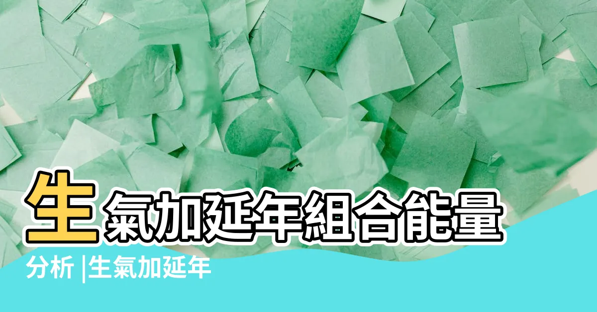 【生氣 延年】生氣加延年組合能量分析 |生氣加延年數字磁場組合的數字 |任強數字能量學 |