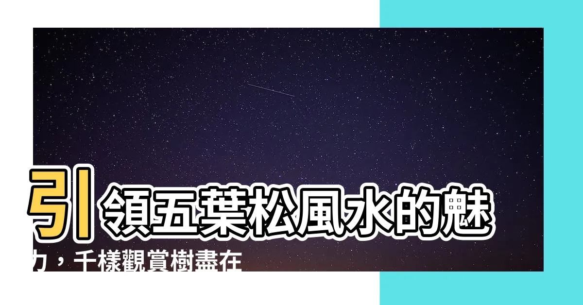 【五葉松 風水】引領五葉松風水的魅力，千樣觀賞樹盡在針柏園