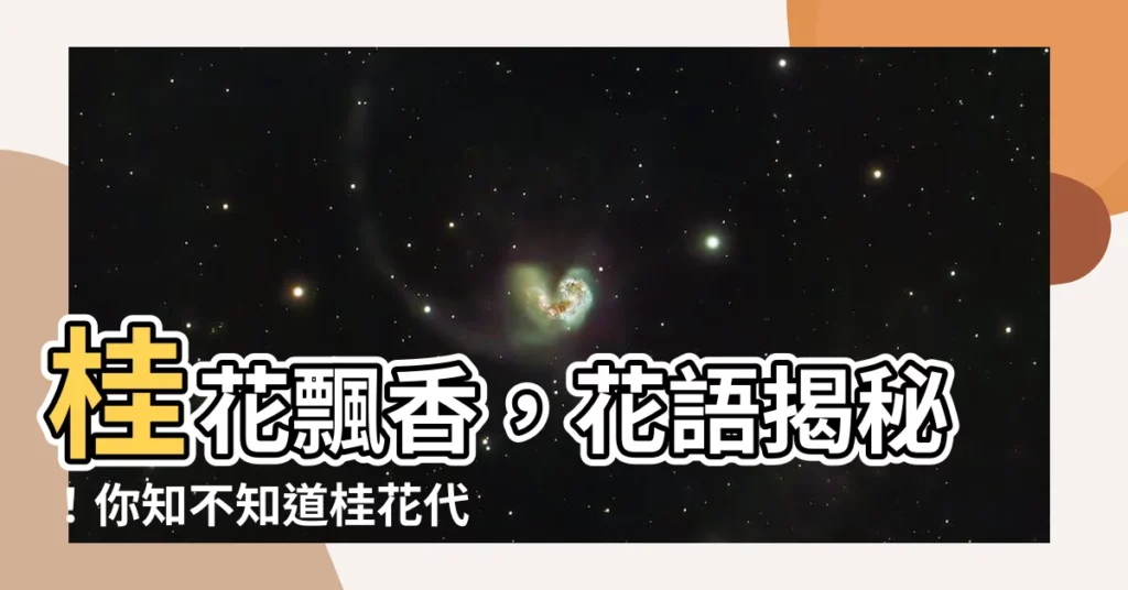 【桂花的花語】桂花飄香，花語揭秘！你知不知道桂花代表什麼？