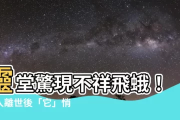 【靈堂出現蛾】靈堂驚現不祥飛蛾！親人離世後「它」悄悄潛入