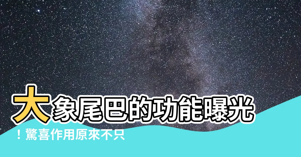 【大象尾巴的功能】大象尾巴的功能曝光！驚喜作用原來不只一種！