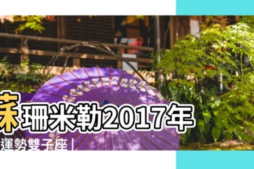 【2017雙子座7月22號運勢】蘇珊米勒2017年7月運勢雙子座 |雙子座今日運勢2017年7月22日 |12星座2017年7月22日運勢詳解 |