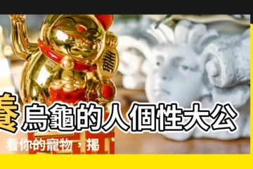 【養烏龜的人 個性】養烏龜的人個性大公開！看你的寵物，揭露你的內心世界