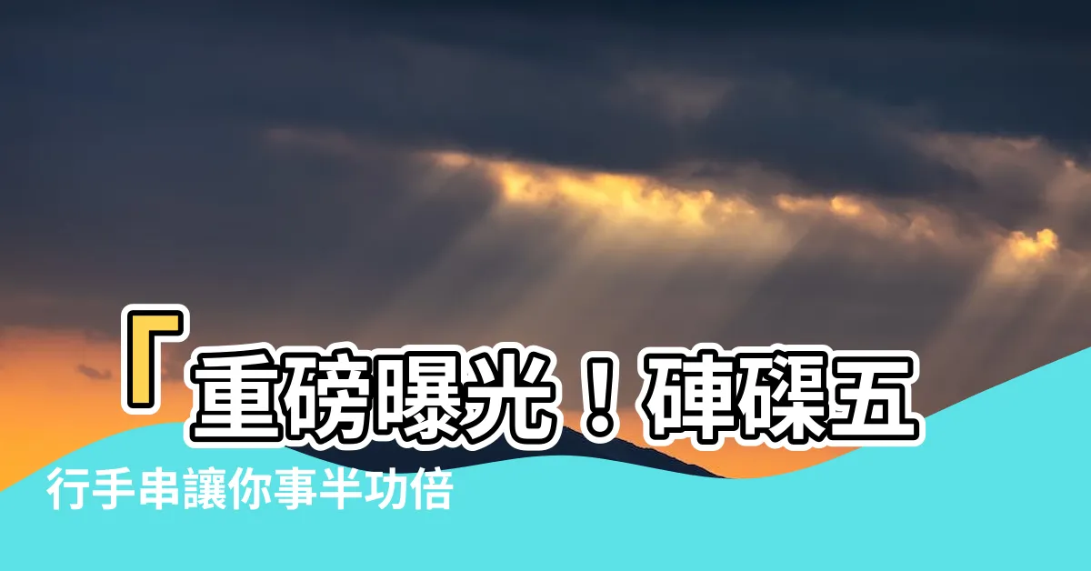 【硨磲五行】「重磅曝光！硨磲五行手串讓你事半功倍，提升運勢快人一步！」