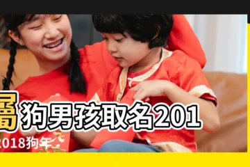 【有創意的狗年2018男孩名字】屬狗男孩取名2018 |2018狗年寶寶乳名大全 |2018屬狗男孩取名不必焦慮 |