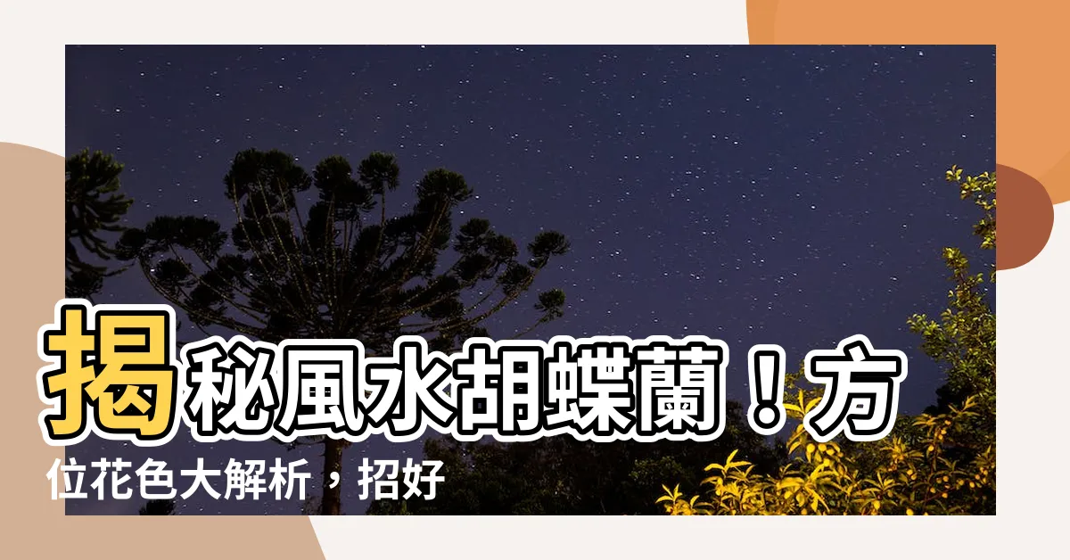【風水 胡蝶蘭】揭秘風水胡蝶蘭！方位花色大解析，招好運