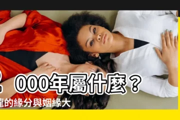 【2000屬什麼】2000年屬什麼？屬龍的緣分與姻緣大揭密！