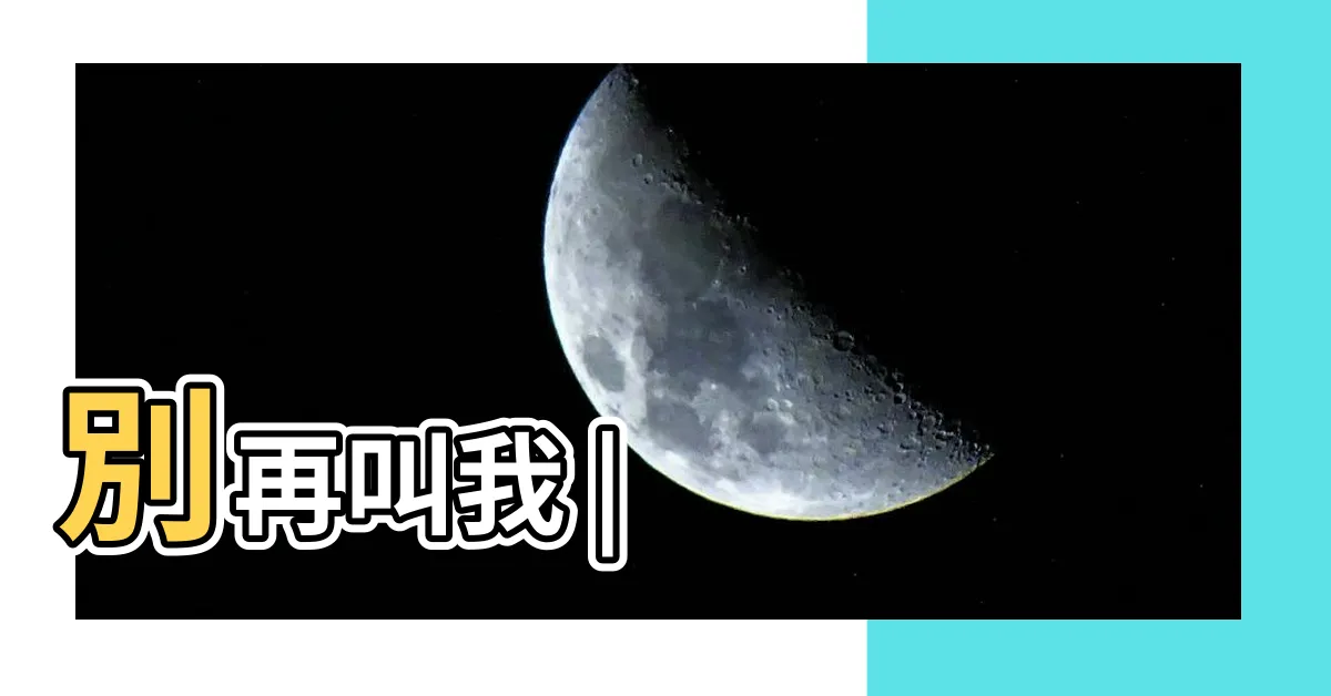 【龍頭龜身】別再叫我 |