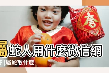 【屬蛇微信名字】屬蛇人用什麼微信網名好 |屬蛇取什麼網名好旺財 |屬蛇最聚財吉祥微信名 |