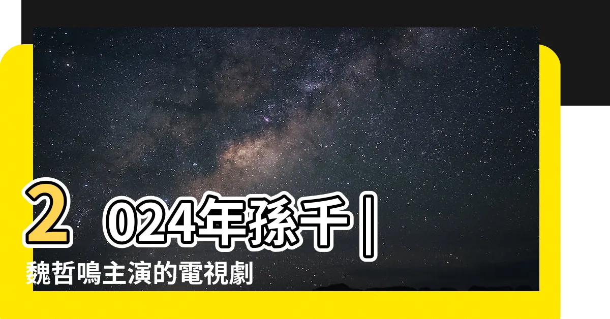 【19層】2024年孫千 |魏哲鳴主演的電視劇 |