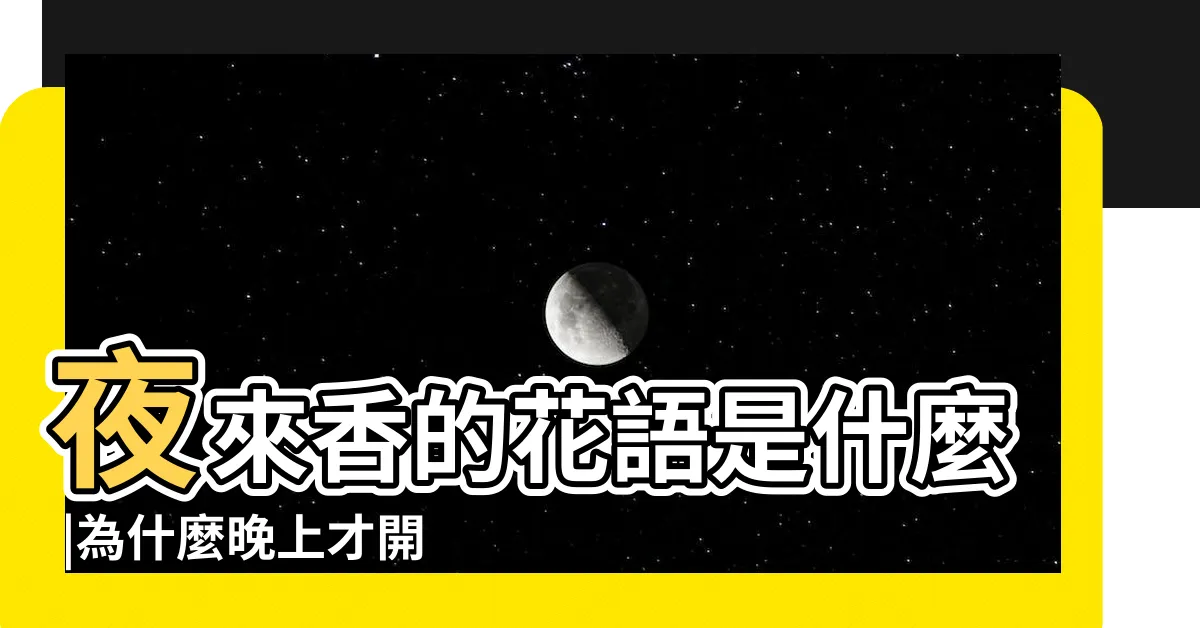 【夜來香的花】夜來香的花語是什麼 |為什麼晚上才開花 |夾竹桃科 |