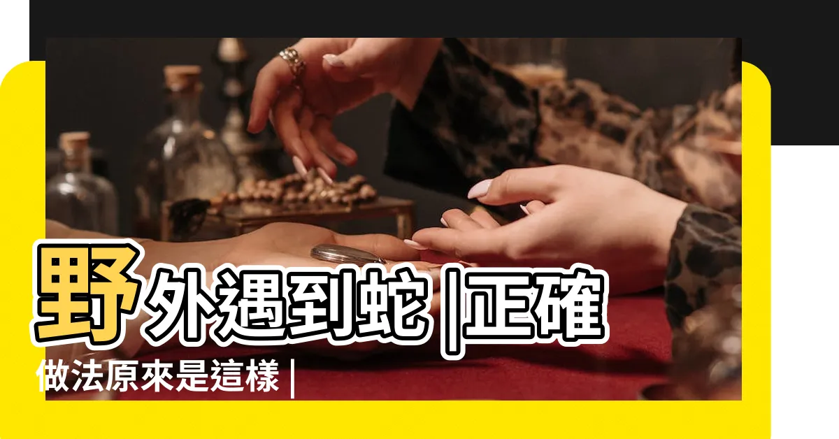 【碰到蛇】野外遇到蛇 |正確做法原來是這樣 |如果被咬 |