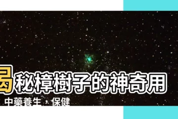 【樟樹子】揭秘樟樹子的神奇用途：中藥養生，保健強身