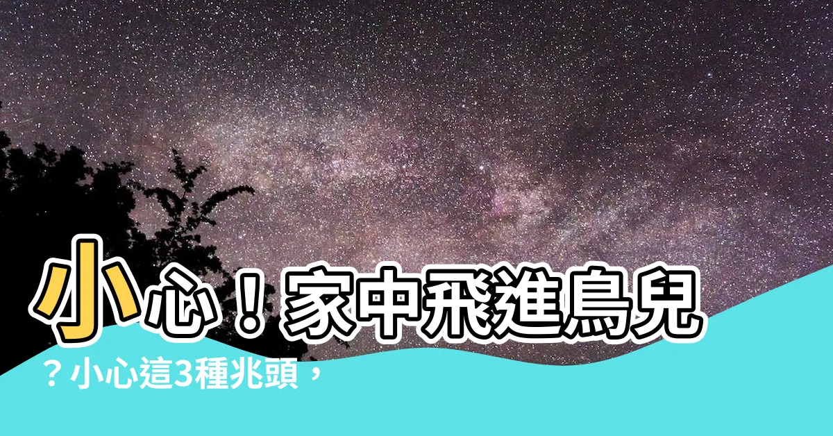 【有鳥入屋】小心！家中飛進鳥兒？小心這3種兆頭，其中一種恐怕會...