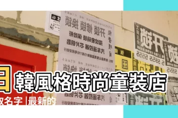 【童裝韓版店鋪名字大全】日韓風格時尚童裝店鋪取名字 |最新的童裝店名字 |韓國童裝店名字簡潔 |