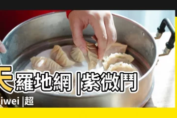 【紫薇鬥星 命宮天相】天羅地網 |紫微鬥數Ziwei |超神準識人術 |
