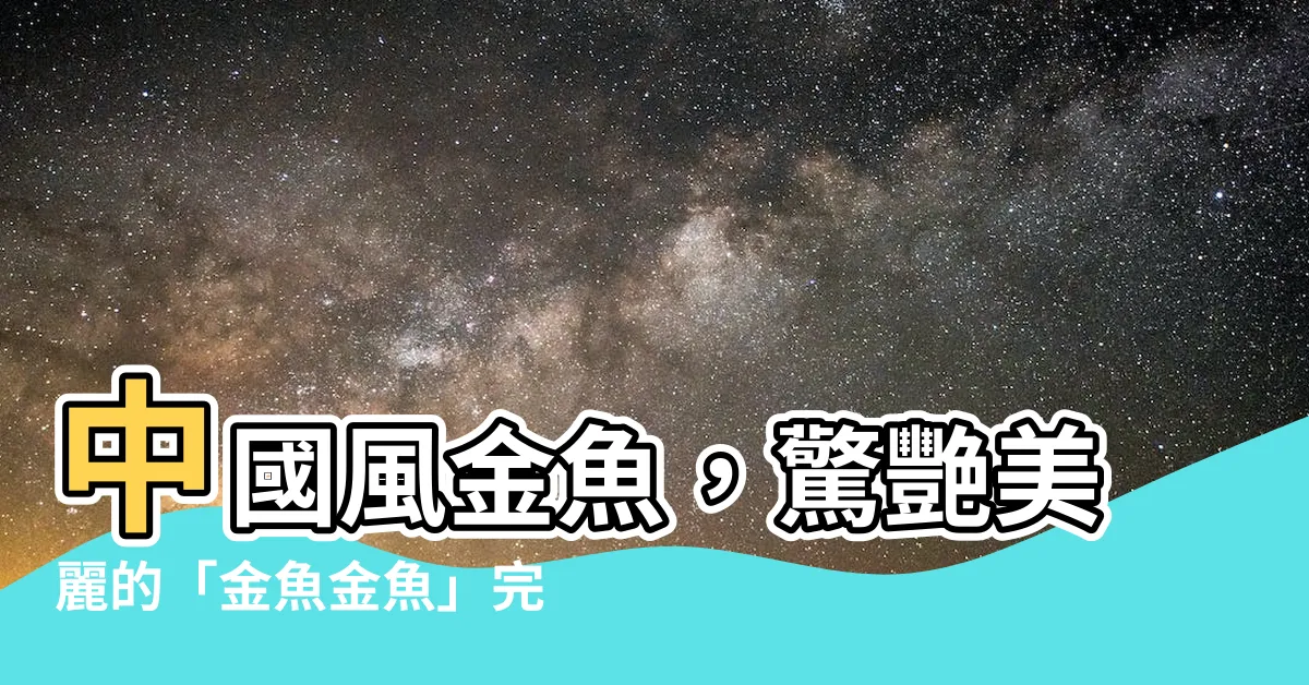 【金魚金魚】中國風金魚，驚艷美麗的「金魚金魚」完美呈現