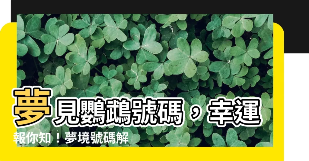 【夢見鸚鵡號碼】夢見鸚鵡號碼，幸運報你知！夢境號碼解析結果一次公開！