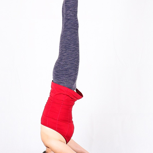 3、 ashtanga 在瑜伽中是什麼意思