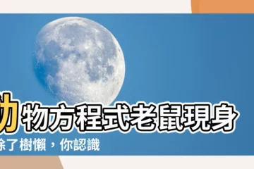 【動物方程式老鼠】動物方程式老鼠現身！除了樹懶，你認識方城市的所有動物嗎？