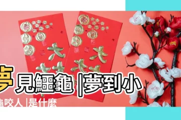 【夢見鱷龜咬屁股】夢見鱷龜 |夢到小烏龜咬人 |是什麼意思 |