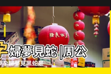 【孕婦夢見半條黑蛇】孕婦夢見蛇 |周公解夢孕婦夢見黑蛇是什麼意思 |孕婦夢見死蛇 |