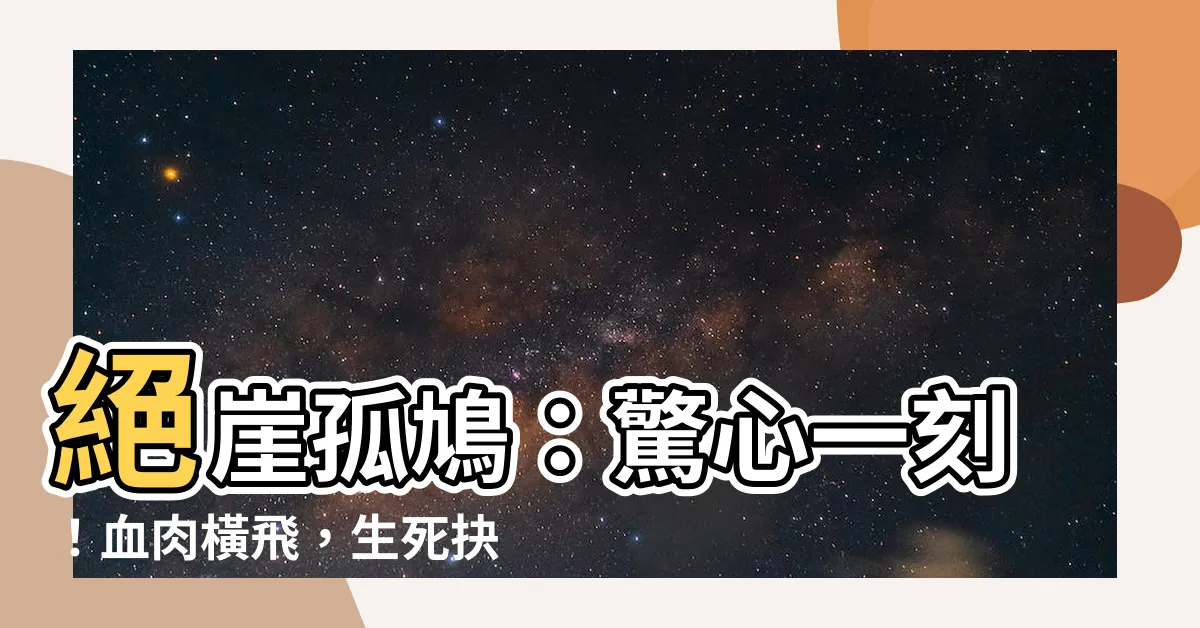 【絕崖孤鳩】絕崖孤鳩：驚心一刻！血肉橫飛，生死抉擇！