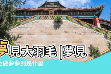 【周公解夢 夢見羽毛】夢見大羽毛 |夢見羽毛做夢夢到是什麼意思會怎麼樣好不好 |夢見羽毛 |