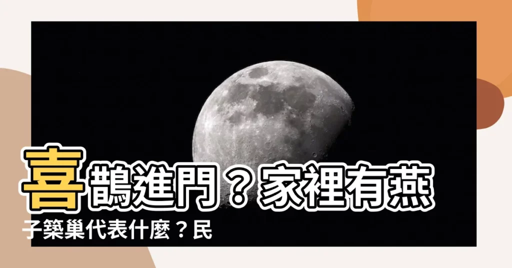 【家裡有燕子築巢】喜鵲進門？家裡有燕子築巢代表什麼？民俗專家大呼：準備發大財！