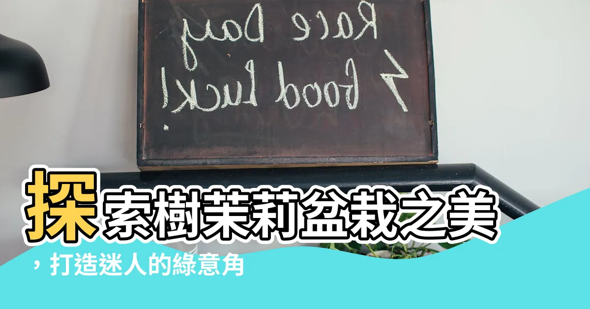 【樹茉莉】探索樹茉莉盆栽之美，打造迷人的綠意角落