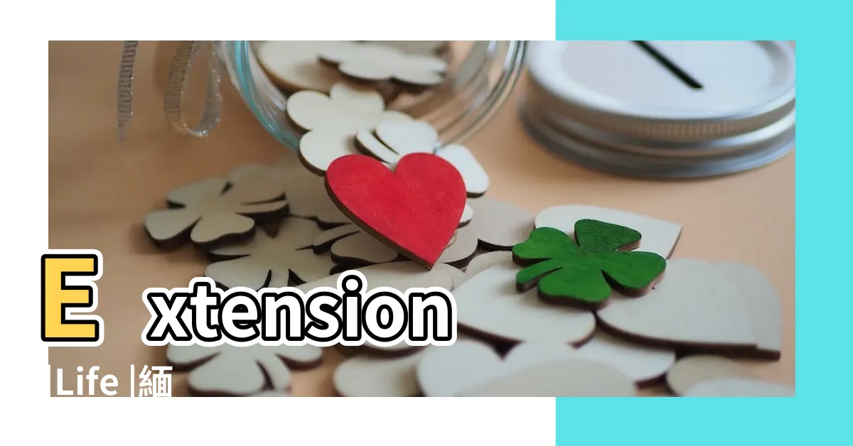 【廷年】Extension |Life |緬甸政治經濟概況 |