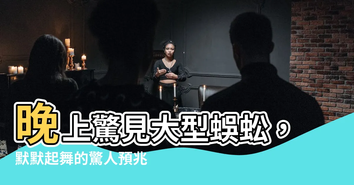 【看到大蜈蚣】晚上驚見大型蜈蚣，默默起舞的驚人預兆！