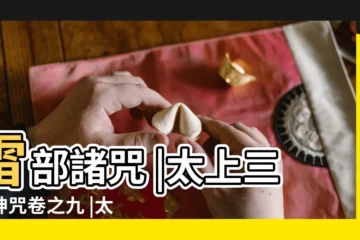 【道教天雷咒】雷部諸咒 |太上三洞神咒卷之九 |太上三洞神咒卷之七 |