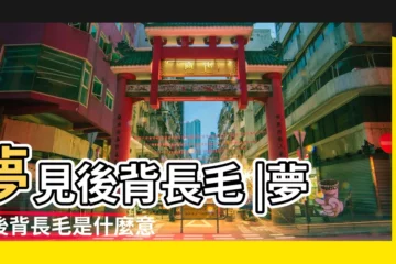 【夢見老公背後長毛】夢見後背長毛 |夢到後背長毛是什麼意思 |夢到了老公背上長毛是好是壞 |
