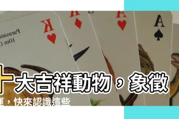 【吉祥動物】十大吉祥動物，象徵好運，快來認識這些幸運象徵！