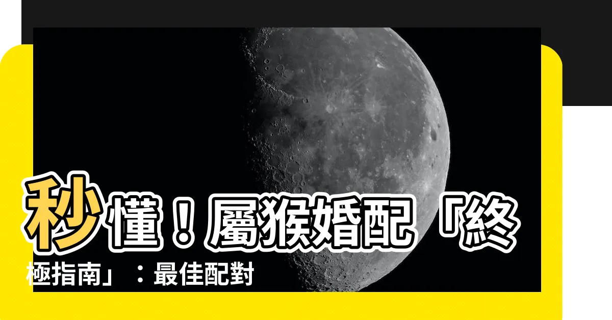 【屬猴婚配】秒懂！屬猴婚配「終極指南」：最佳配對、相配屬相一次看