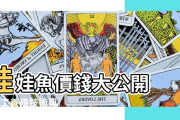 【娃娃魚價錢】娃娃魚價錢大公開 - 人工養殖技術與驚人價格解析