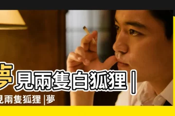 【夢見兩隻狐狸在家】夢見兩隻白狐狸 |夢見兩隻狐狸 |夢見兩隻狐狸代表什麼 |