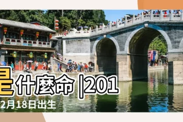 【2019年陰曆2月18五行缺】是什麼命 |2019年2月18日出生的人是什麼命 |2019年2月18日出生的人命好嗎 |
