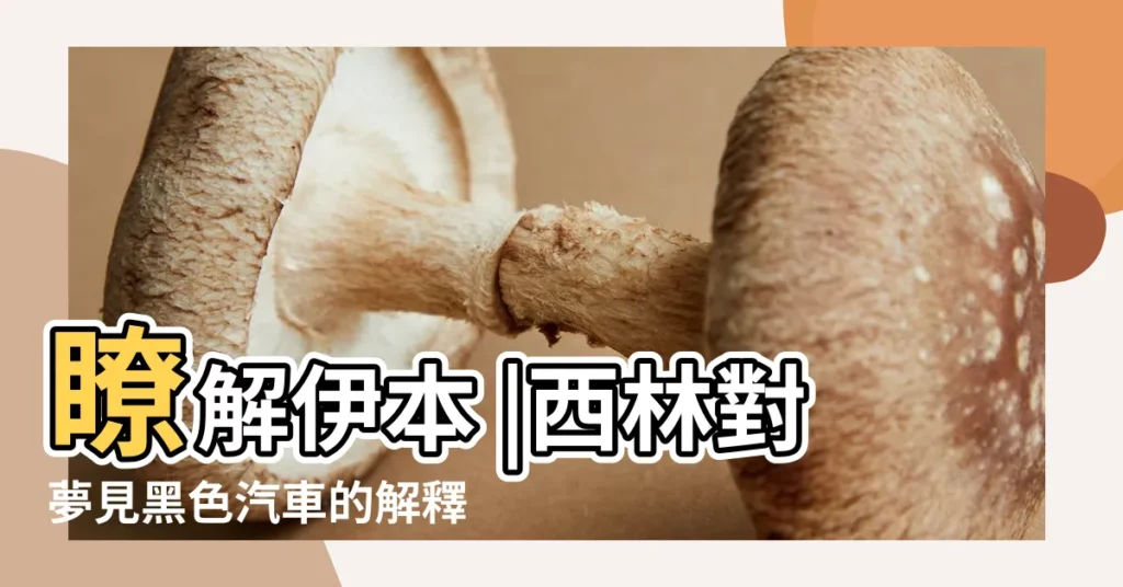 瞭解伊本 |西林對夢見黑色汽車的解釋 |對夢中關於黑色汽車的夢的解釋是什麼 |【夢見老公開黑色奔馳】