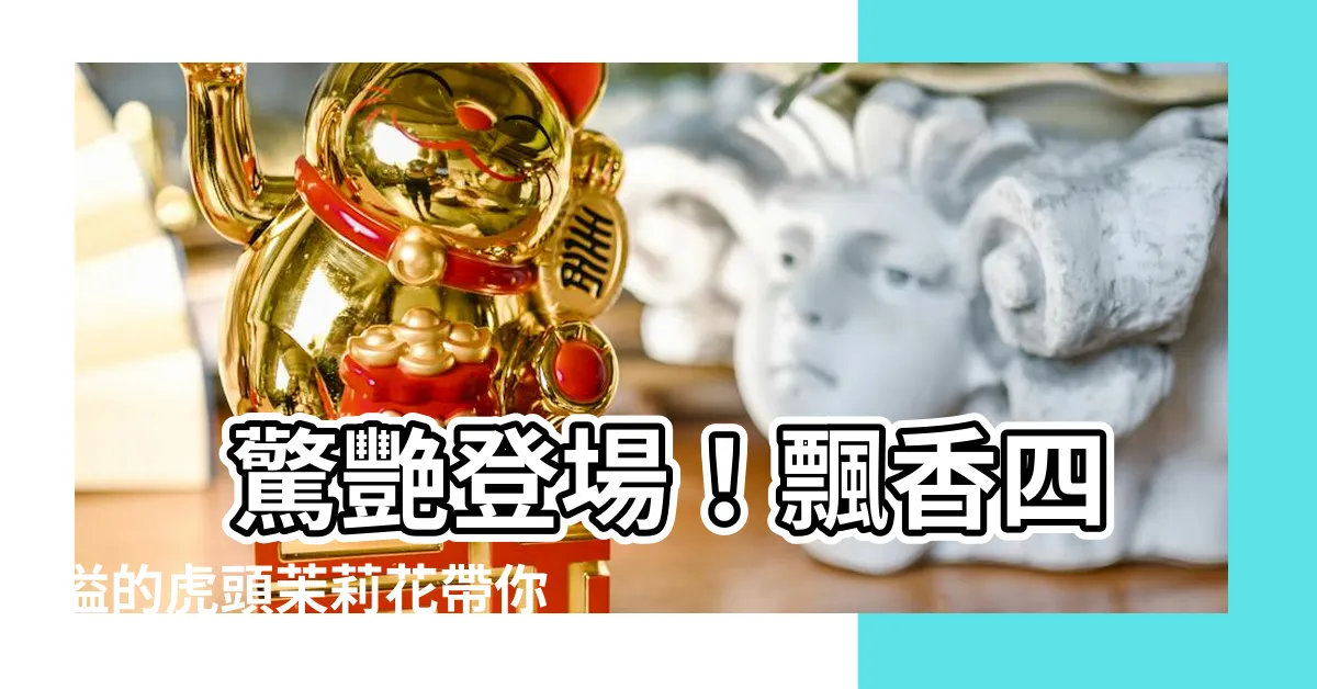 【虎頭茉莉花】 驚艷登場！飄香四溢的虎頭茉莉花帶你浪漫一夏