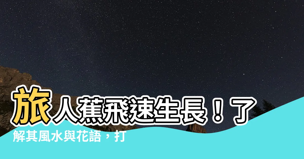 【旅人蕉生長速度】旅人蕉飛速生長！瞭解其風水與花語，打造綠意天堂！