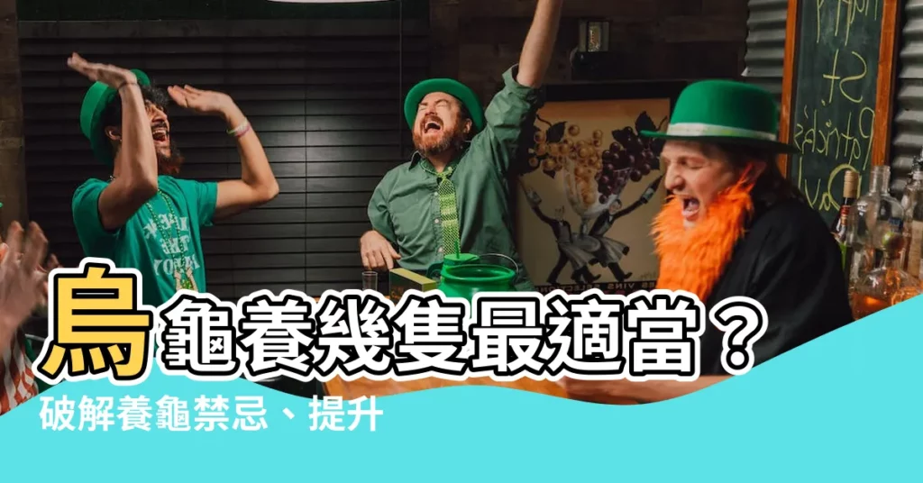 【烏龜養幾隻比較好】烏龜養幾隻最適當？破解養龜禁忌、提升運勢