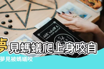 【夢到螞蟻爬到胳膊上咬】夢見螞蟻爬上身咬自己 |夢見被螞蟻咬 |夢見胳膊被螞蟻咬了一圈是怎麼回事 |