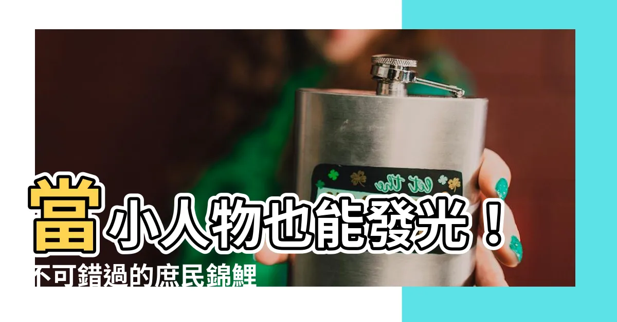 【庶民錦鯉】當小人物也能發光！不可錯過的庶民錦鯉故事
