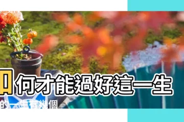 【人一生有多少周】如何才能過好這一生 |人的一生有幾個星期天 |人生餘額 |
