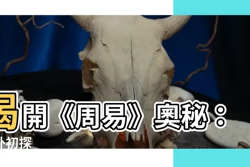 【周易 乾卦】揭開《周易》奧秘：乾卦初探