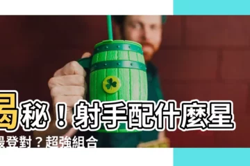 【射手配什麼星座】揭秘！射手配什麼星座最登對？超強組合大公開！